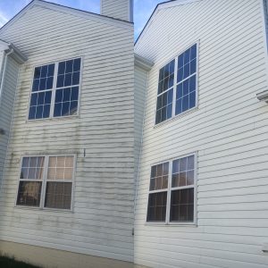 house wash siding cleaning