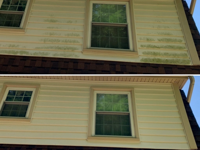 Exterior cleaning in Fairfax